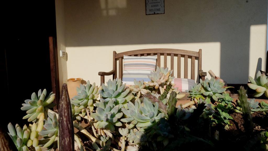B&B Le Rose Siderno Exteriör bild
